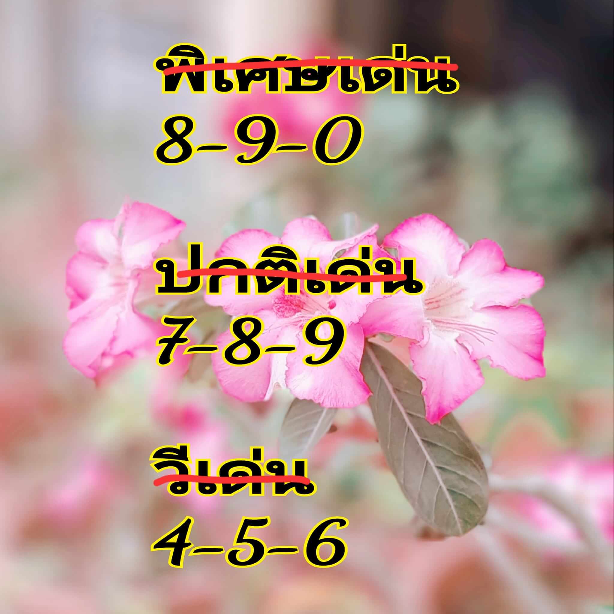 หวยฮานอย 8/5/67 ชุดที่ 2