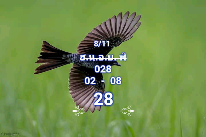 หวยฮานอย 8/11/67 ชุดที่ 5