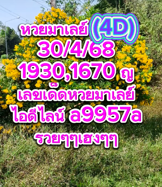 หวยมาเลย์ 30/4/68-3