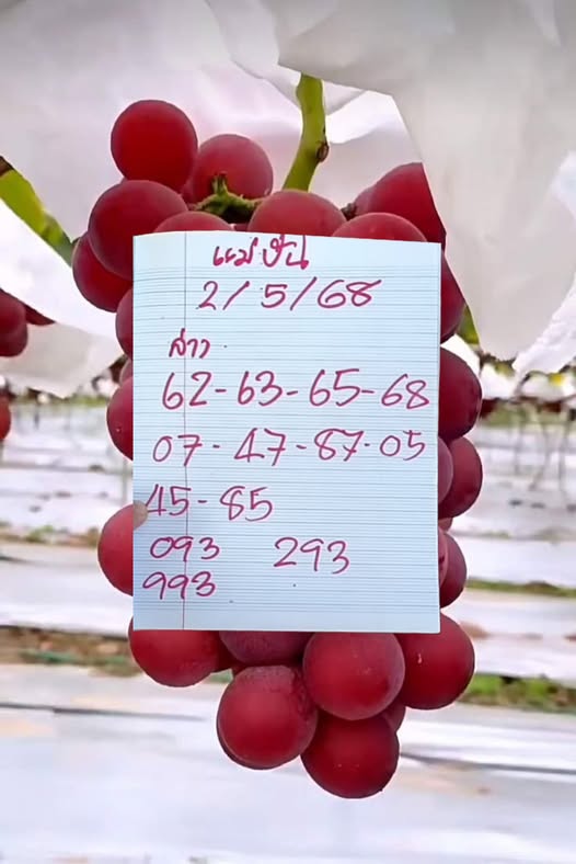 หวยแม่ปัน 2/5/68