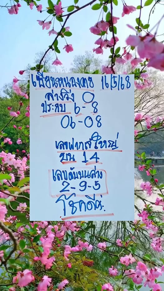 หวยเซียนหนองคาย 16/5/68
