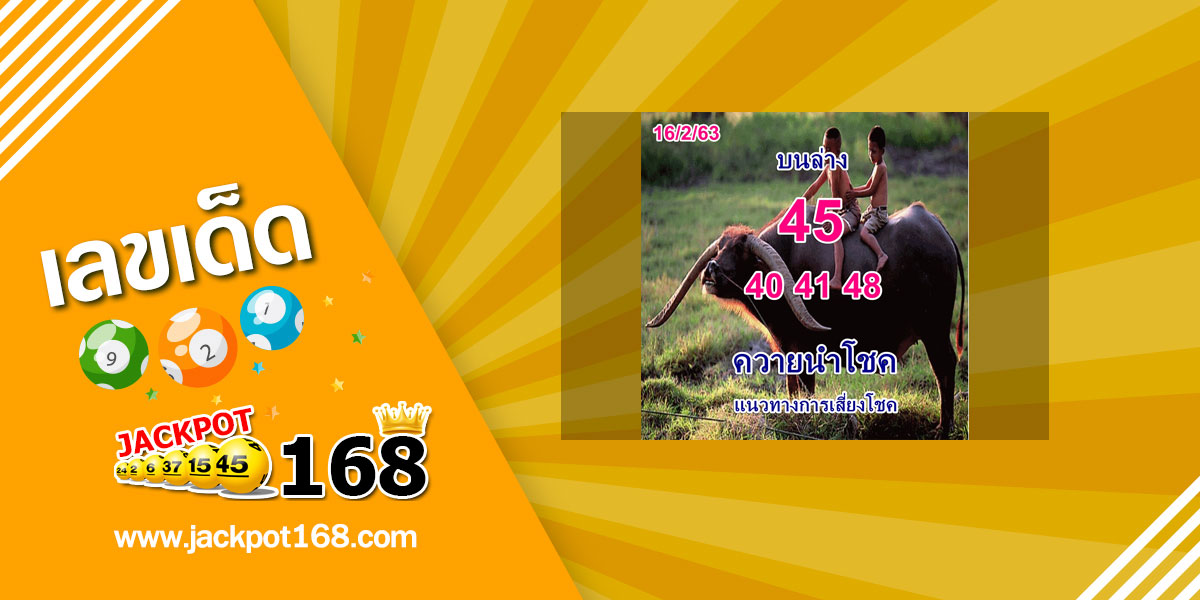 หวยควายนำโชค 16/2/63