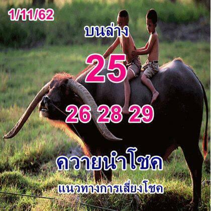 หวยควายนำโชค 1/11/62