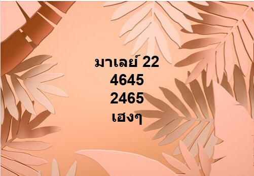 หวยมาเลย์ ชุดที่9 8