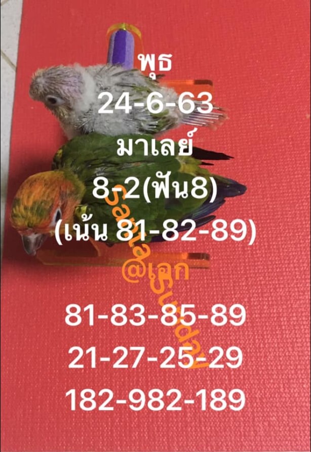 หวยมาเลย์ 24/6/63 ชุดที่ 7