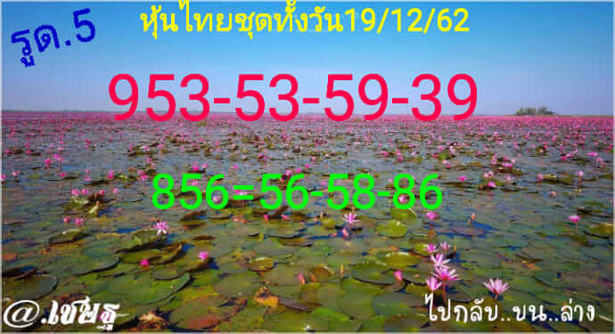 หวยหุ้น ชุดที่7 41